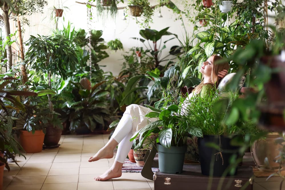 Eco by Green Culture — image 7